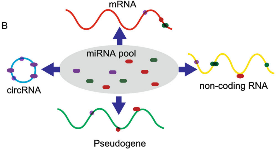 2016-mrna.png